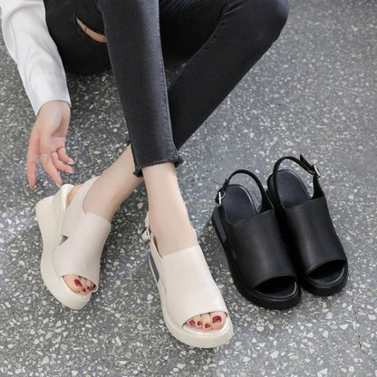 SANDALIAS ERGONOMICAS PREMIUM